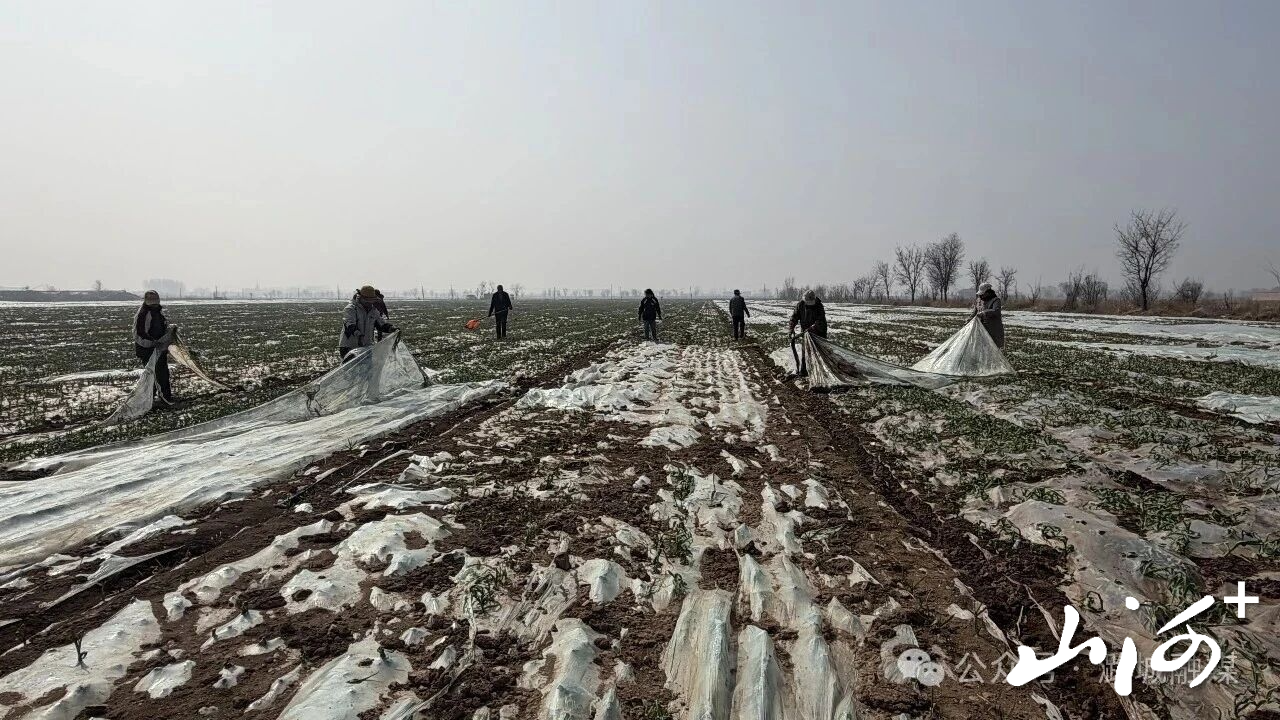 微信图片_2026-03-23_160839_043