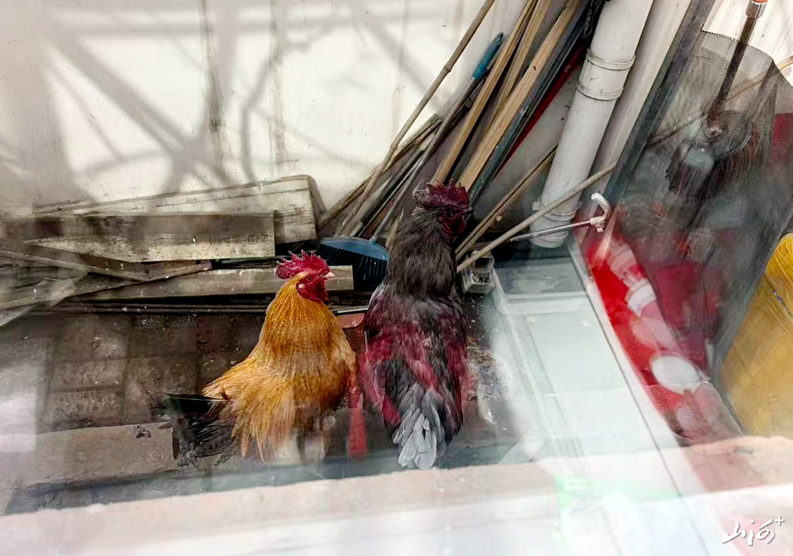 微信图片_20260326164834_132_3