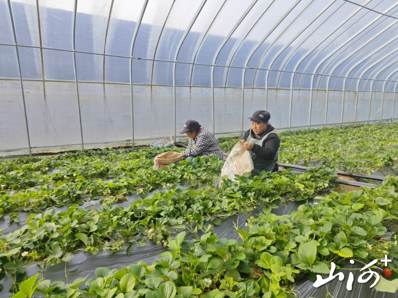 微信图片_20260327100929_2062_137 微信图片_20260327100929_2062_137