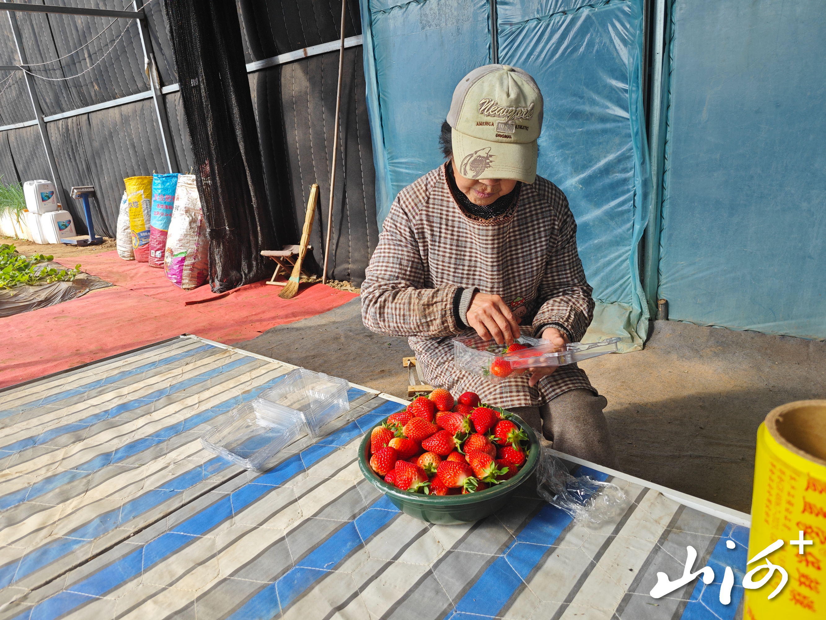 微信图片_20260327100946_2063_137 微信图片_20260327100946_2063_137