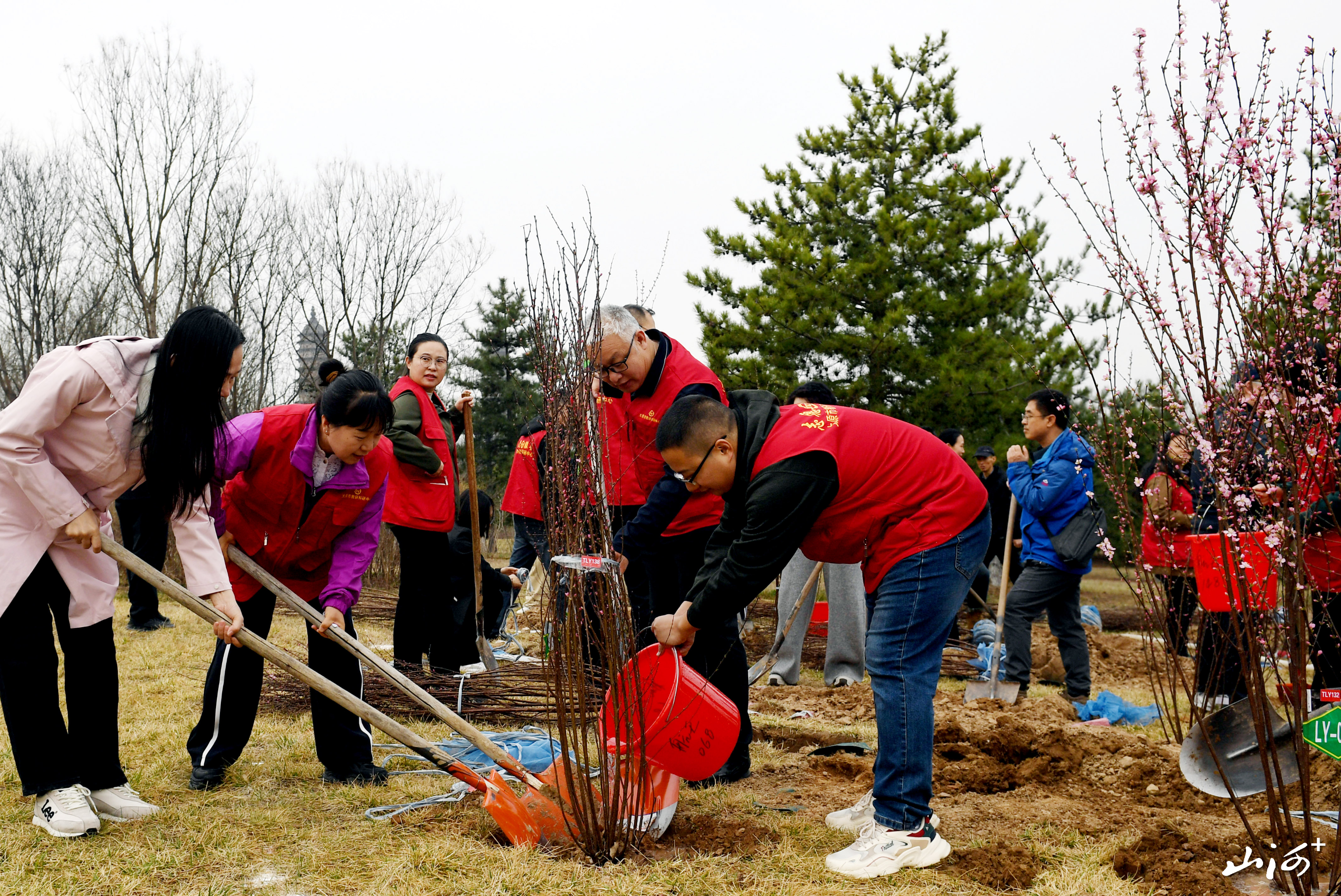 微信图片_20260328170813_207_2