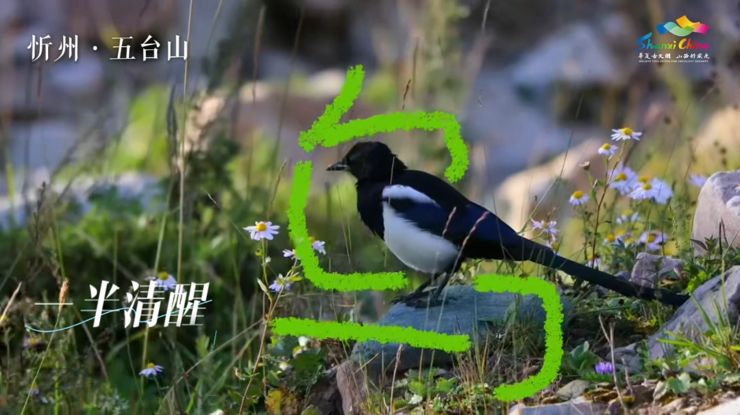 3月18日 (1)(4).png