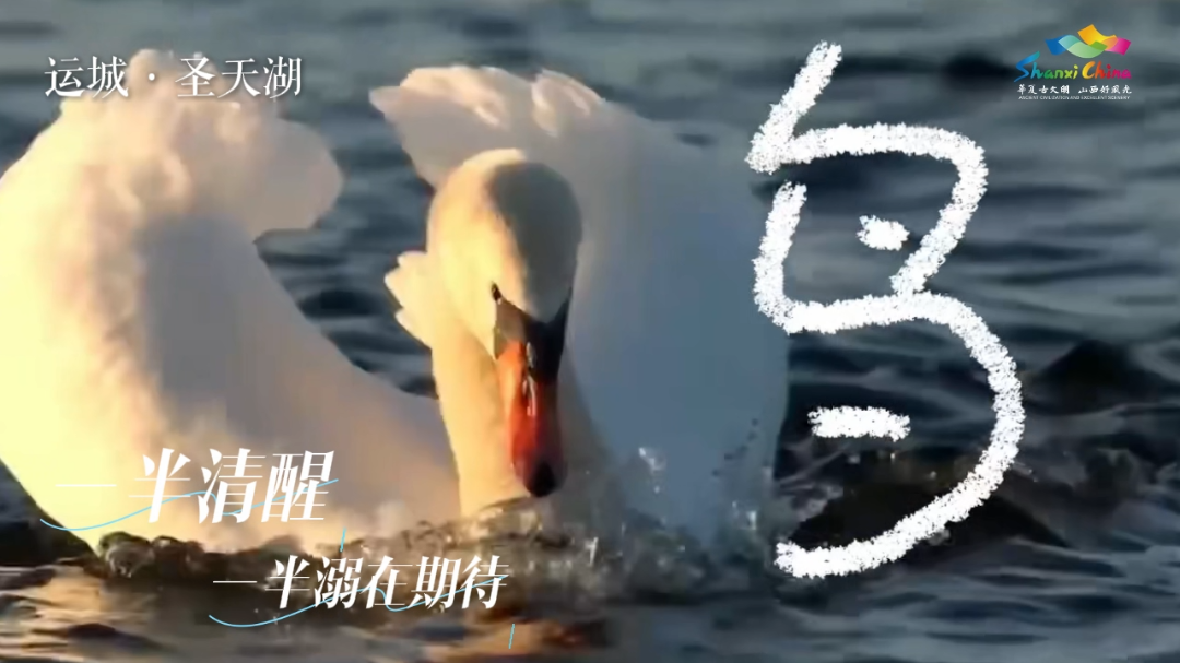 3月18日 (1)(8).png