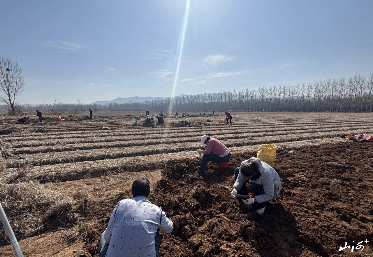 微信图片_20260401160302_345_9