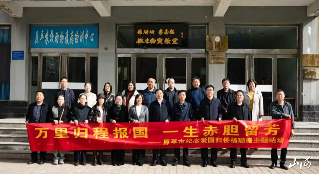 1775309908089020306.jpg 1775309908089020306.jpg