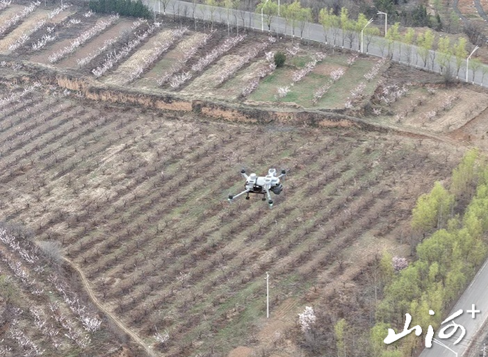 微信图片_20260407151548_359_9 微信图片_20260407151548_359_9