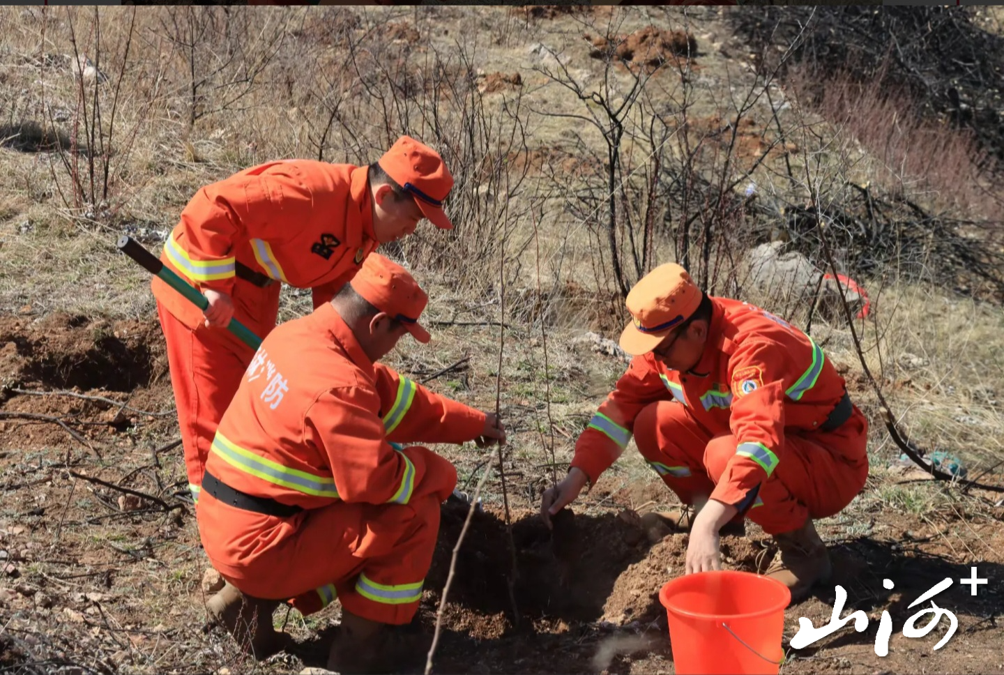 微信图片_20260407152008_365_9 微信图片_20260407152008_365_9