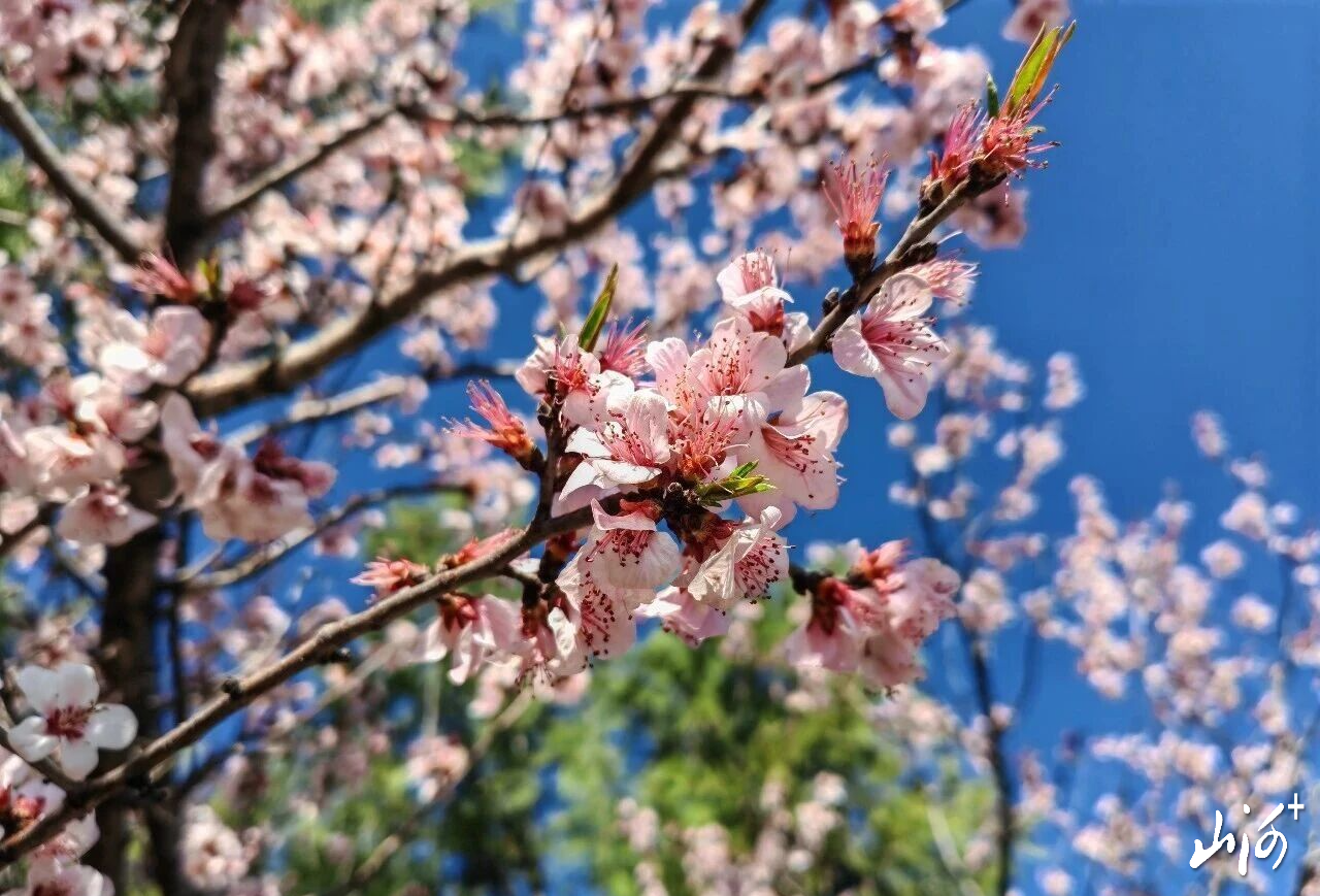 微信图片_2026-04-08_162059_596