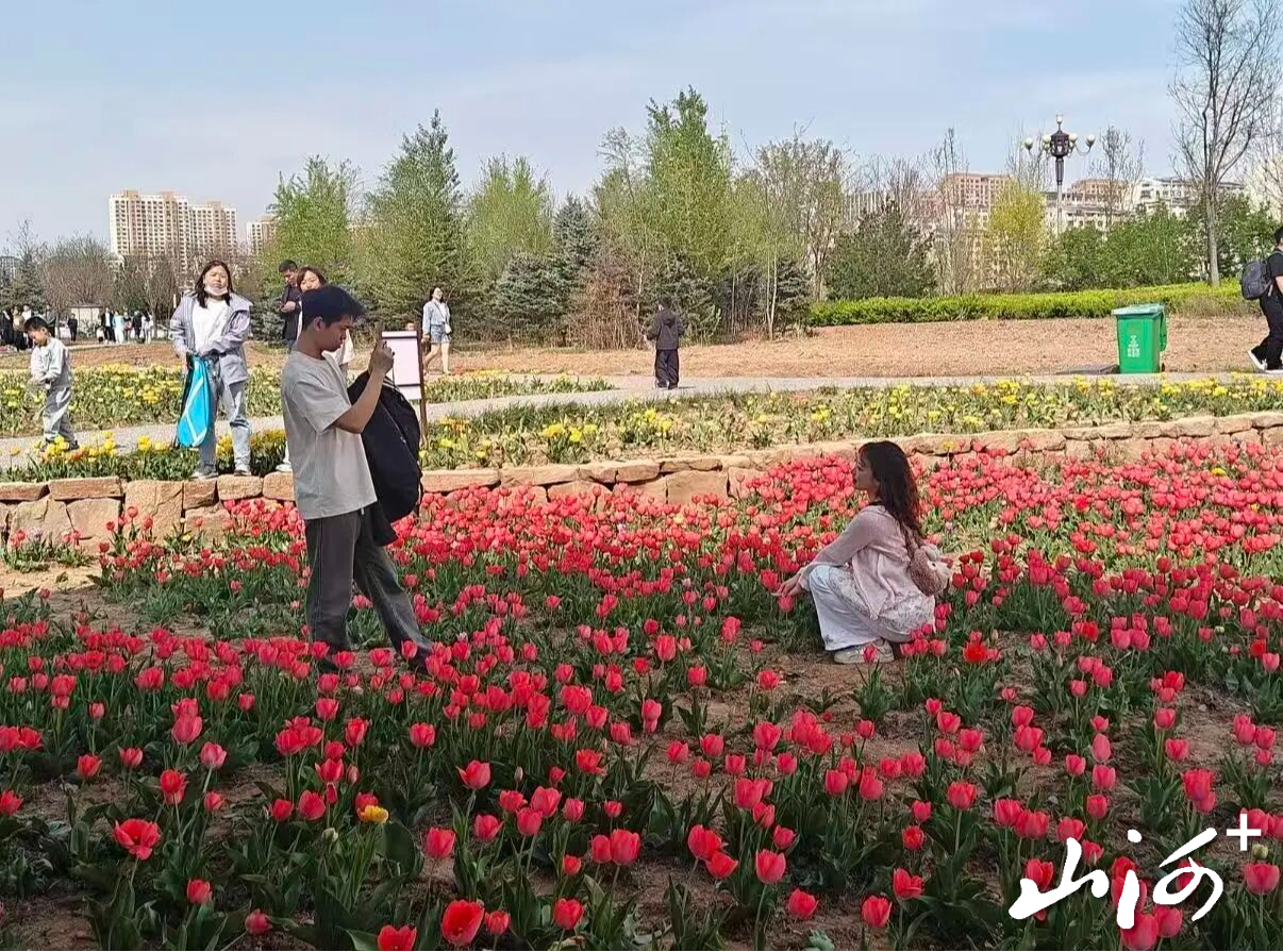 微信图片_2026-04-13_150559_428