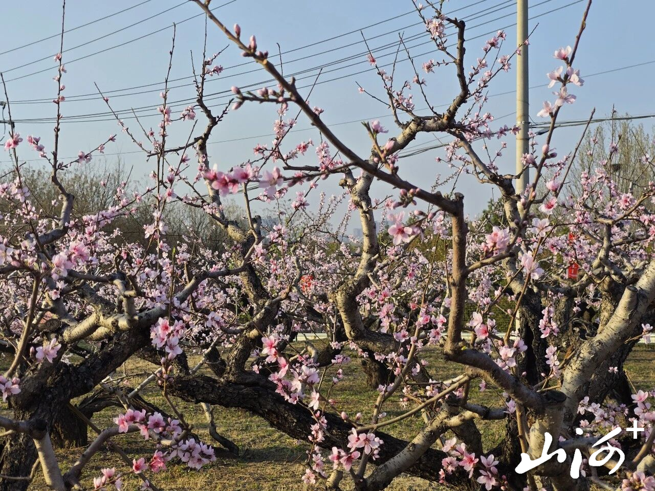 微信图片_2026-04-13_151424_491