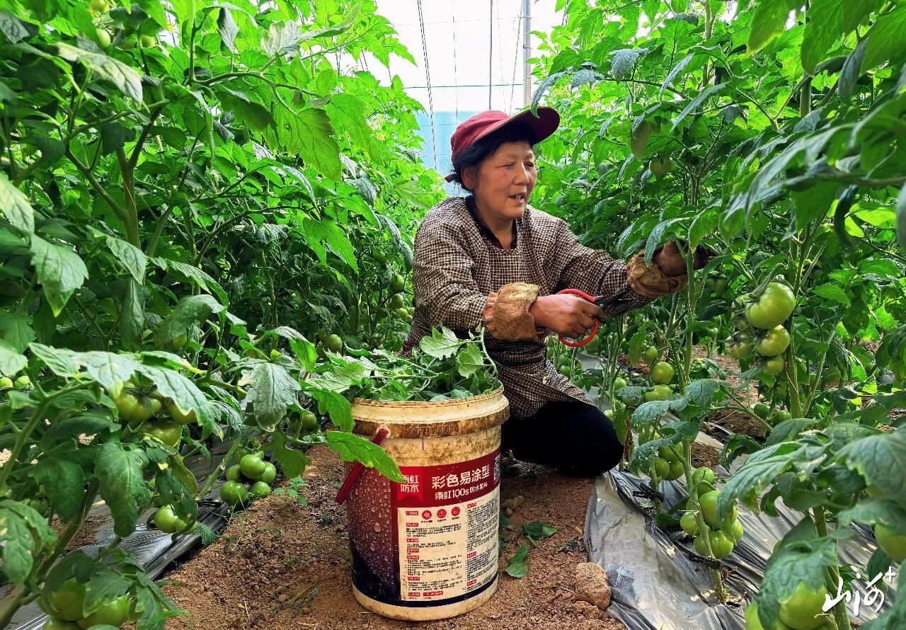 微信图片_2026-04-14_104415_696