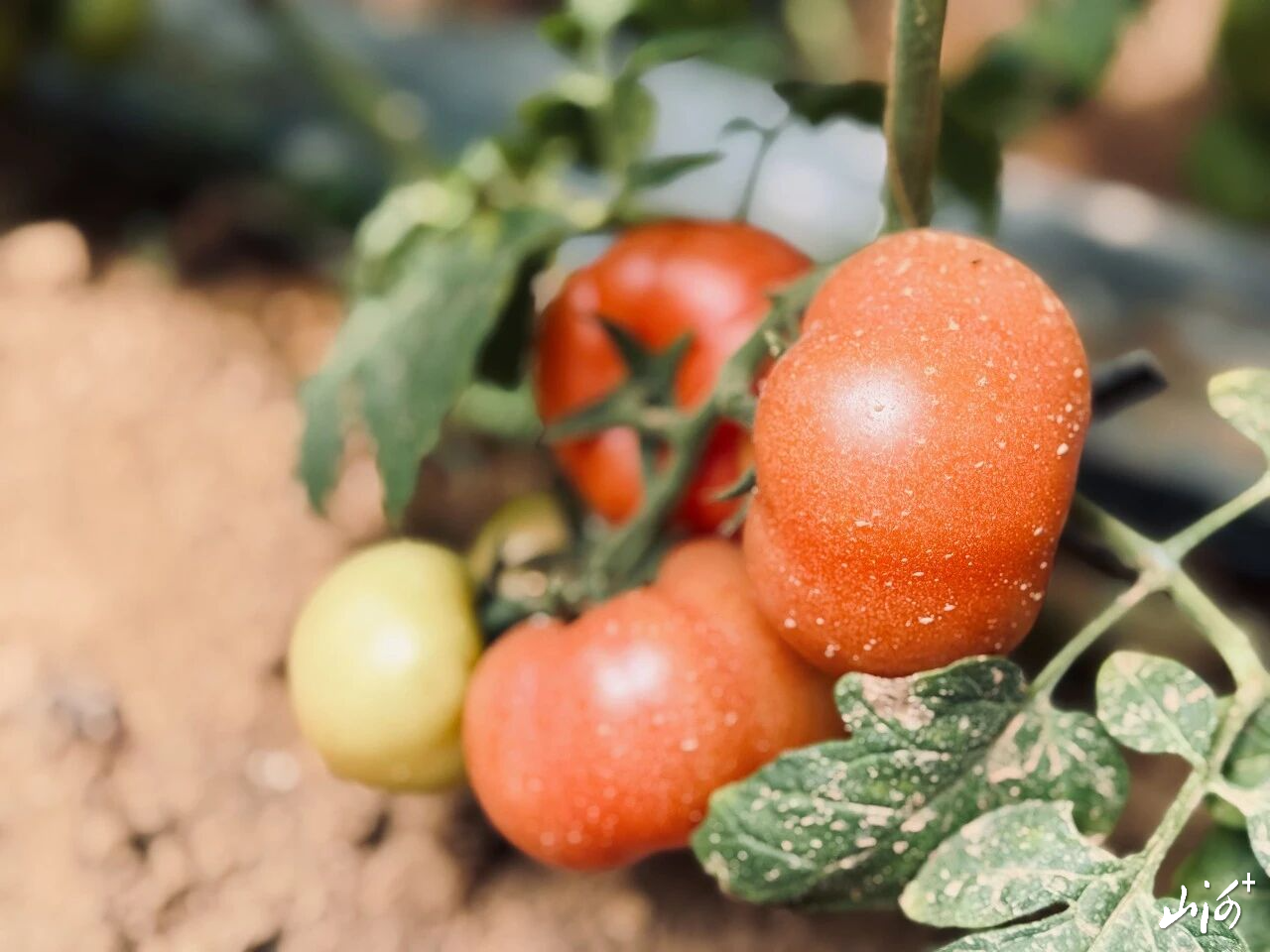 微信图片_2026-04-14_104423_674