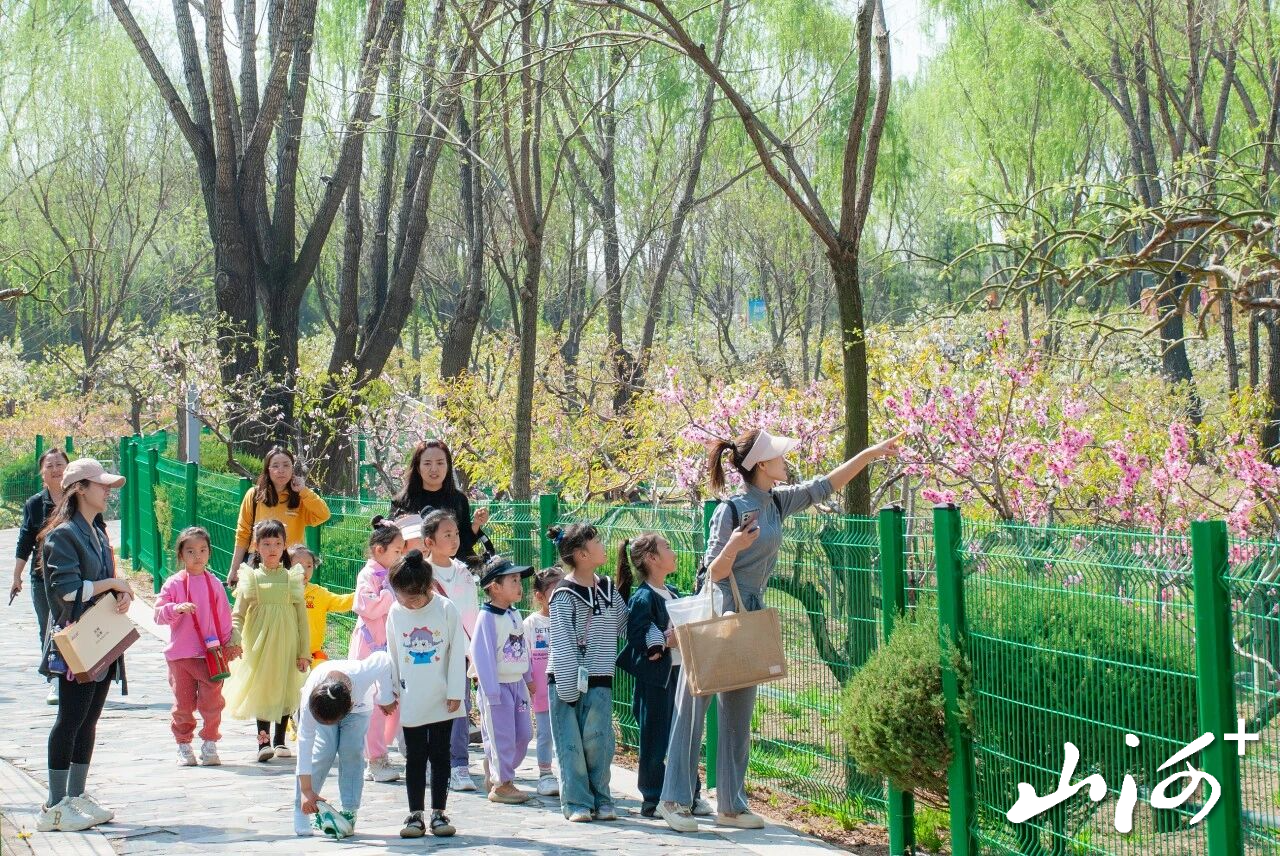 微信图片_2026-04-19_221751_901