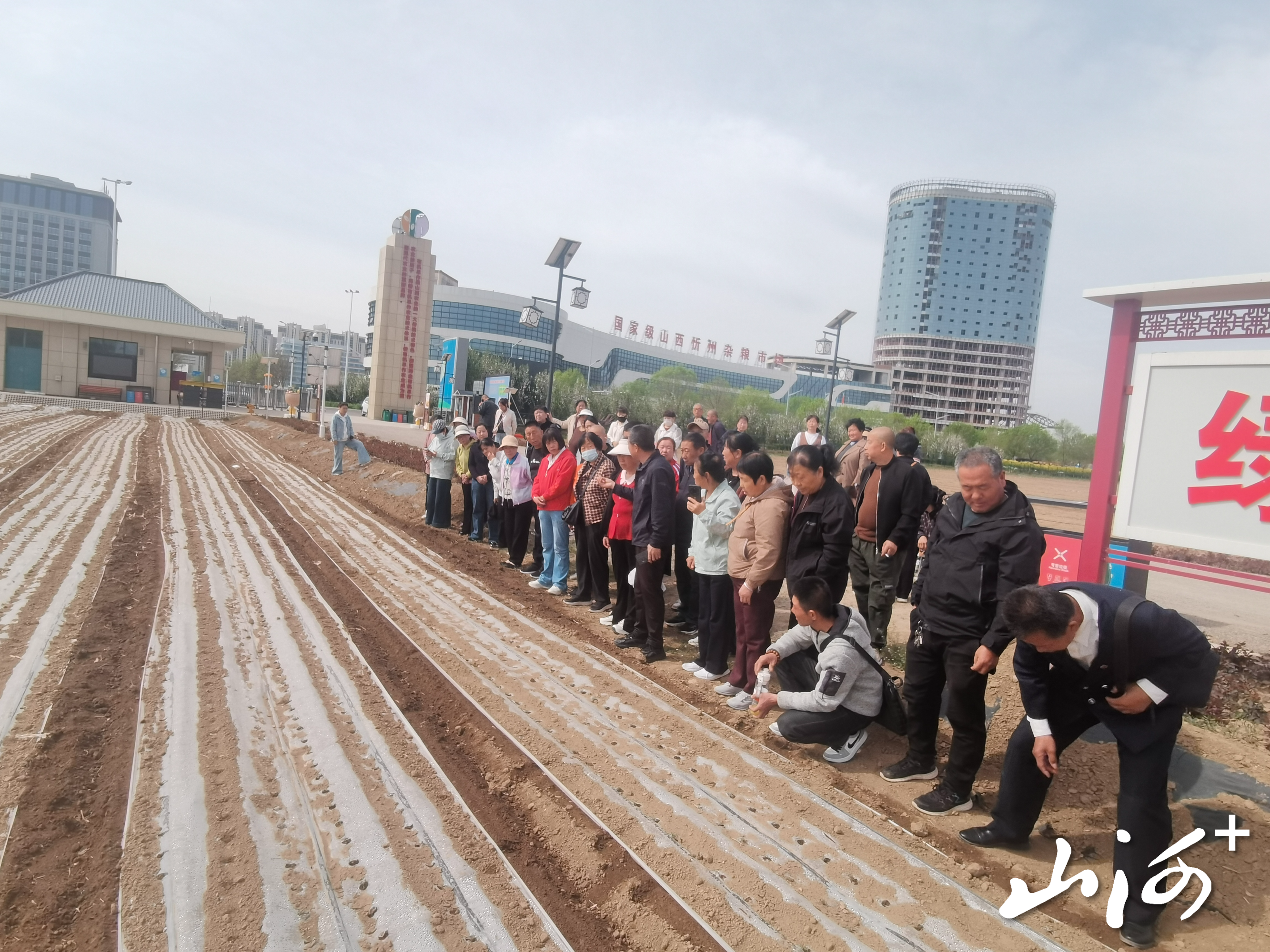 微信图片_20260424141614_9_2