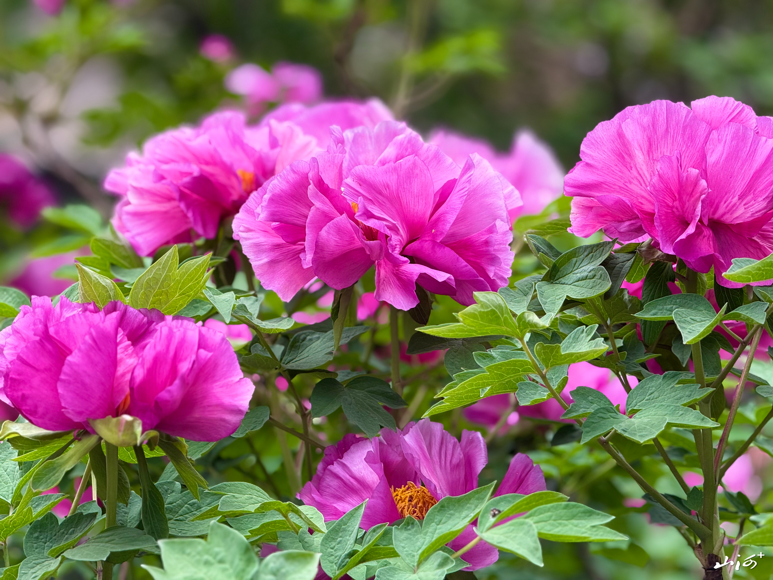 微信图片_20260425172804_585_78