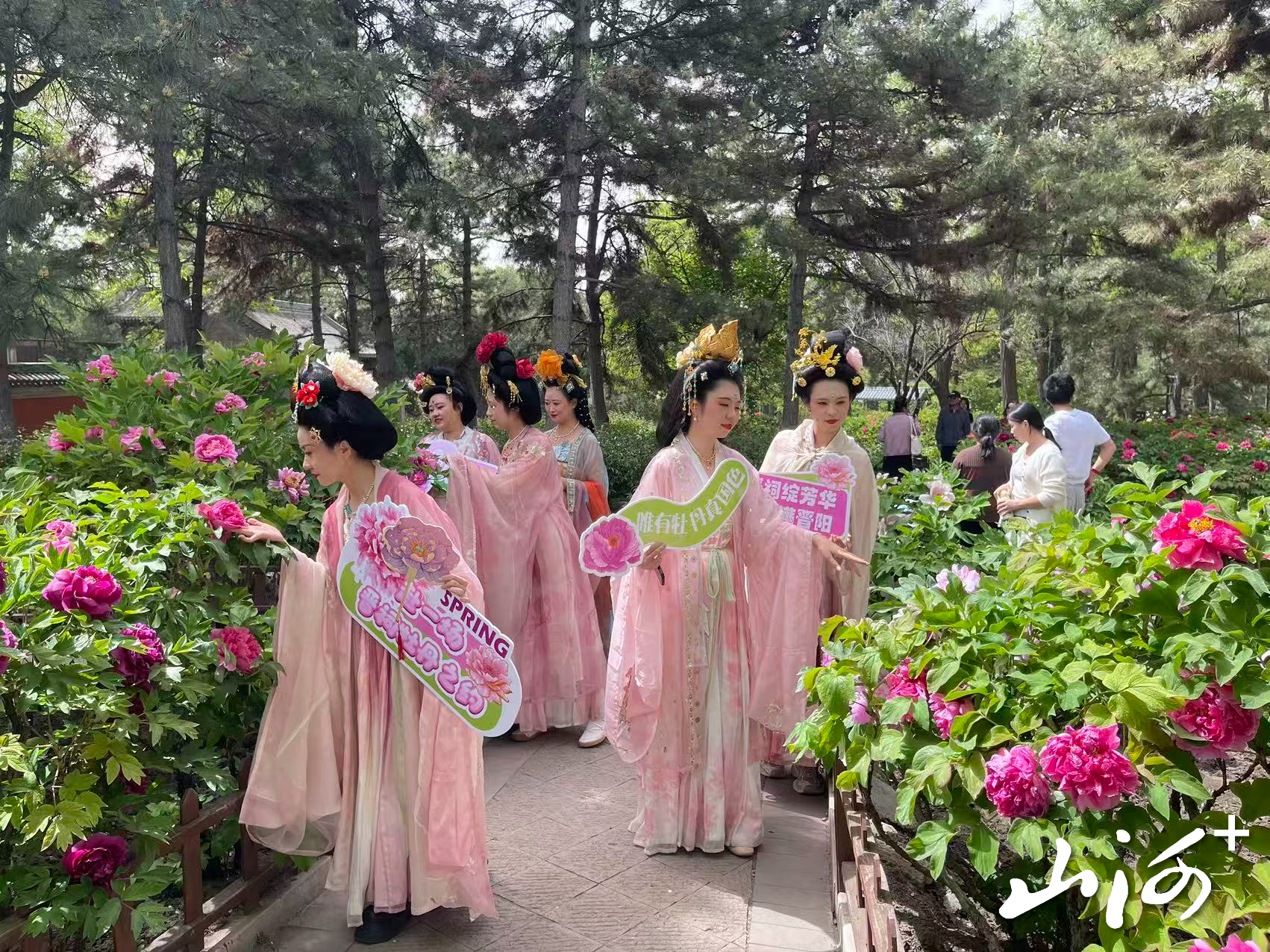 8c6791a75f514925db1401959ce4418e