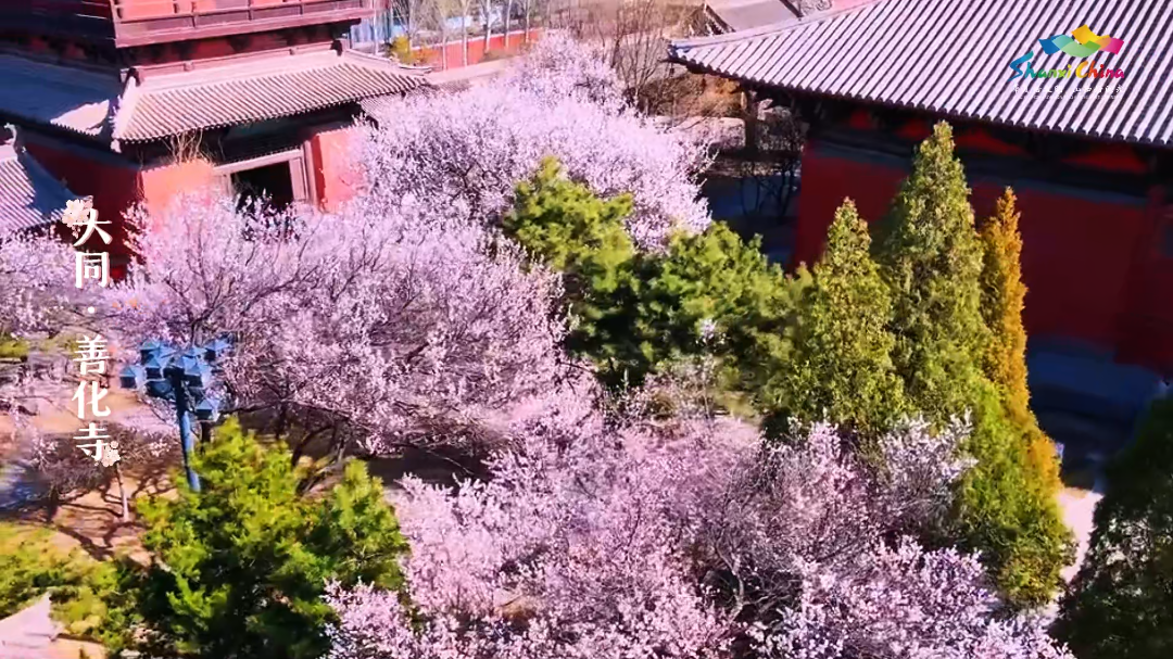 4月13日大   .png