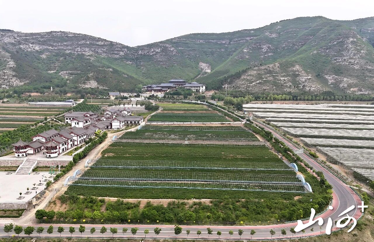 微信图片_2026-05-10_161140_269