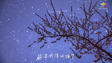 5月8日光影.gif
