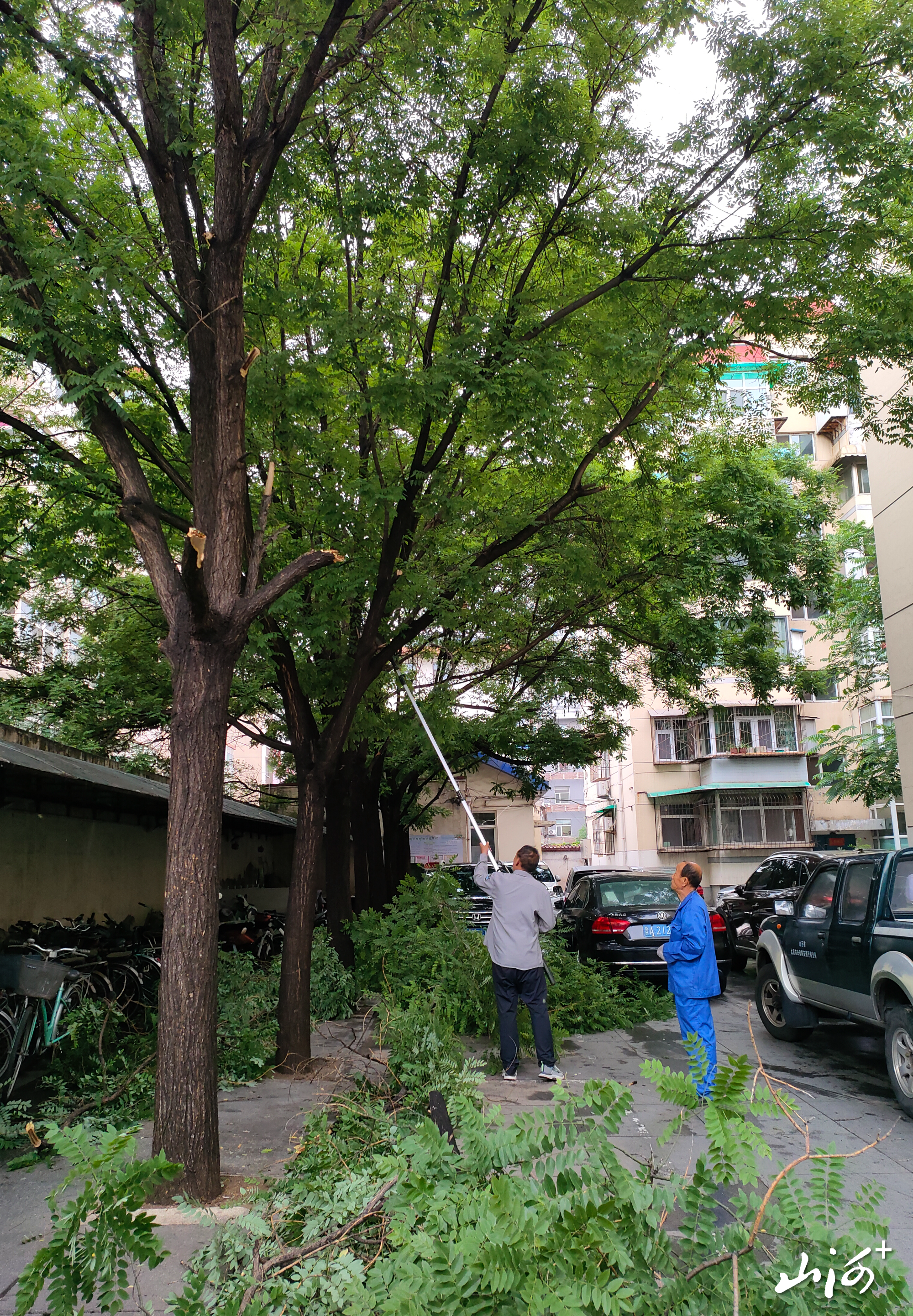 微信图片_20260526165432_261_3 微信图片_20260526165432_261_3