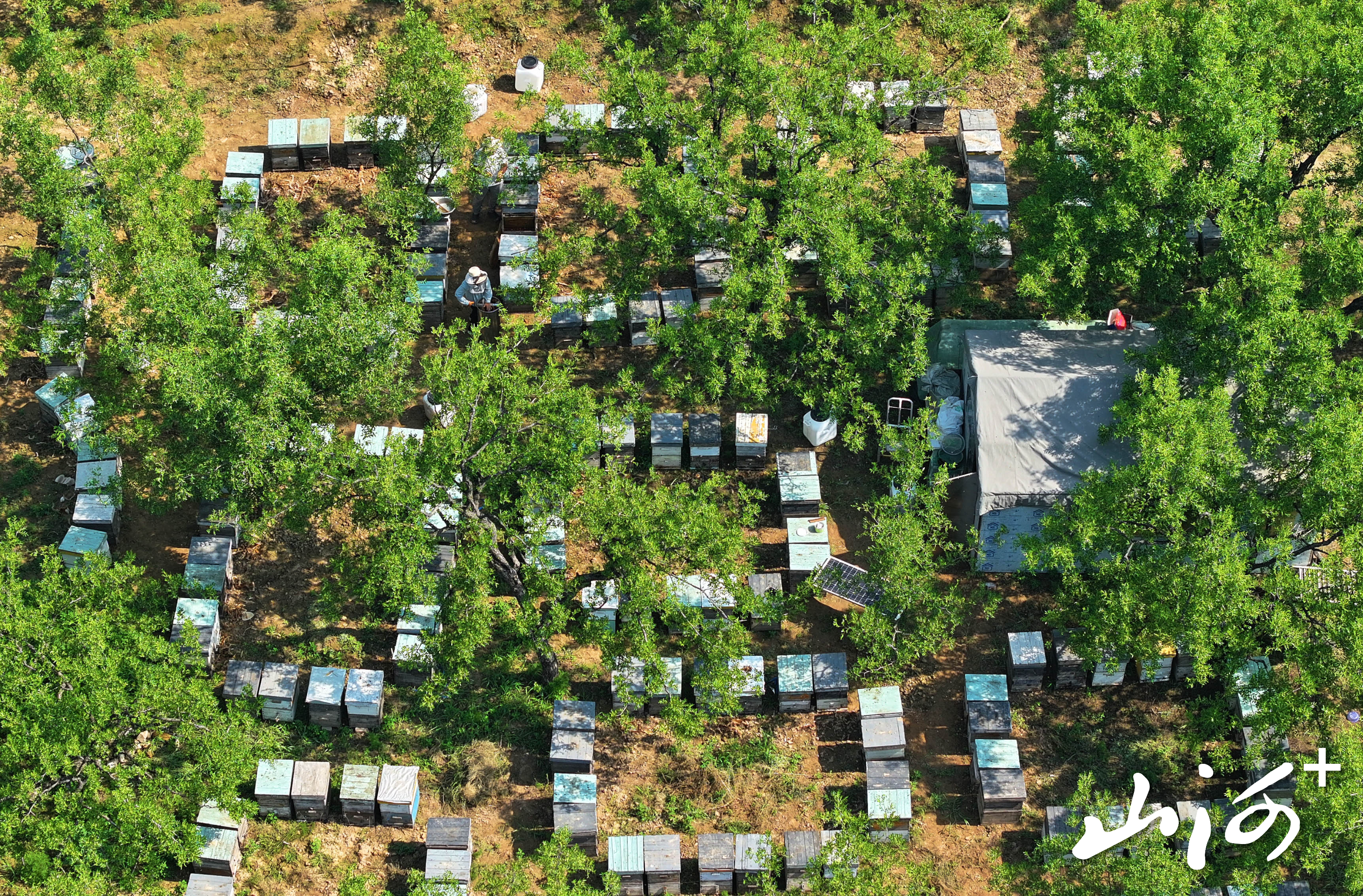 DJI_20260530094325_0025_D