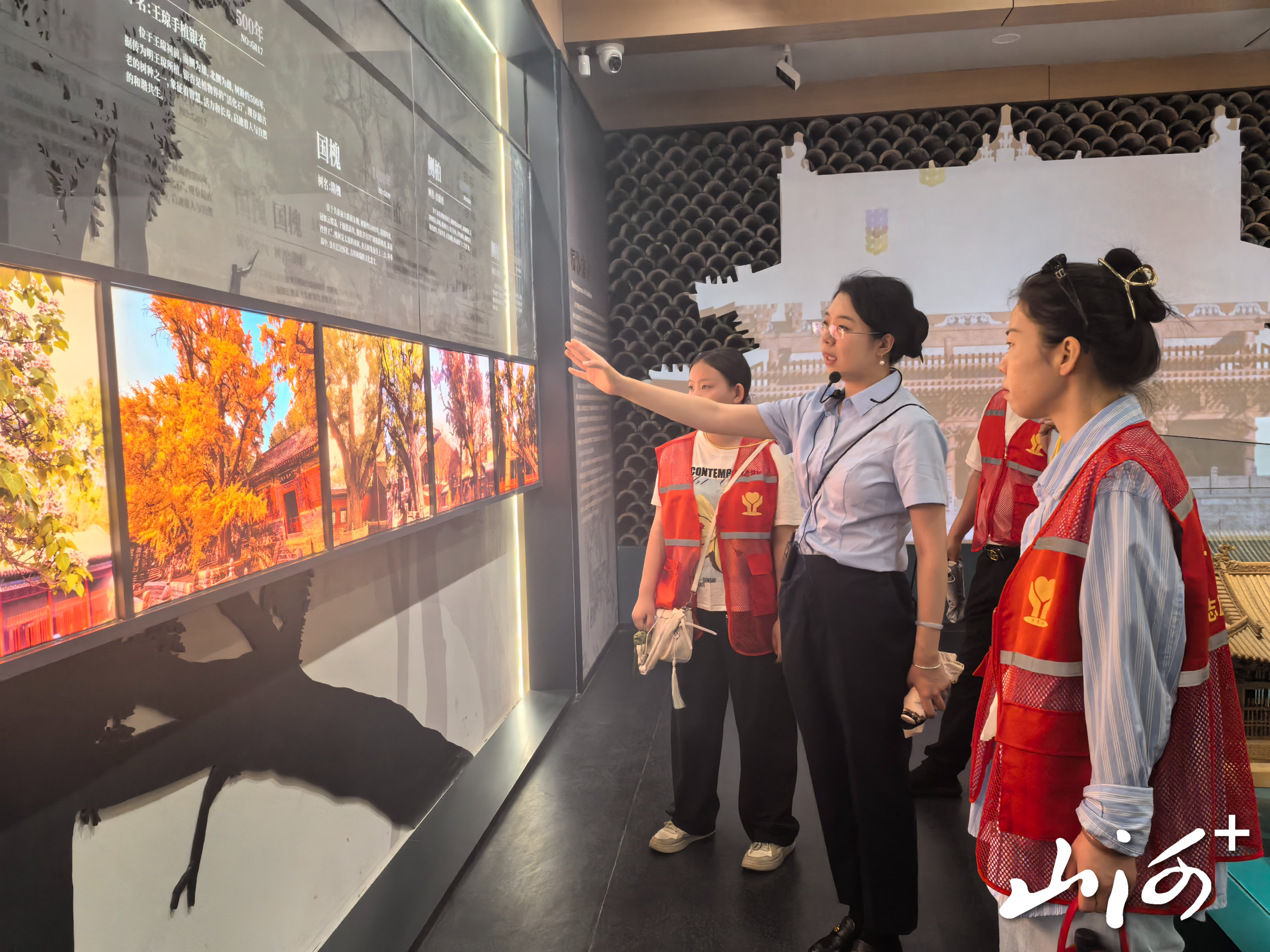 微信图片_20260601141013_896_78 微信图片_20260601141013_896_78