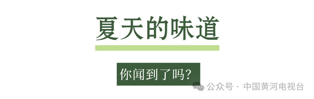 海报.png