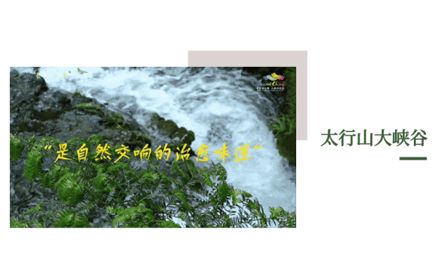 正文2.gif