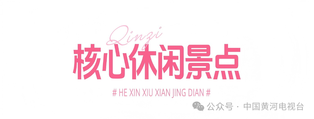 闯入绿色仙境的2 (2).png