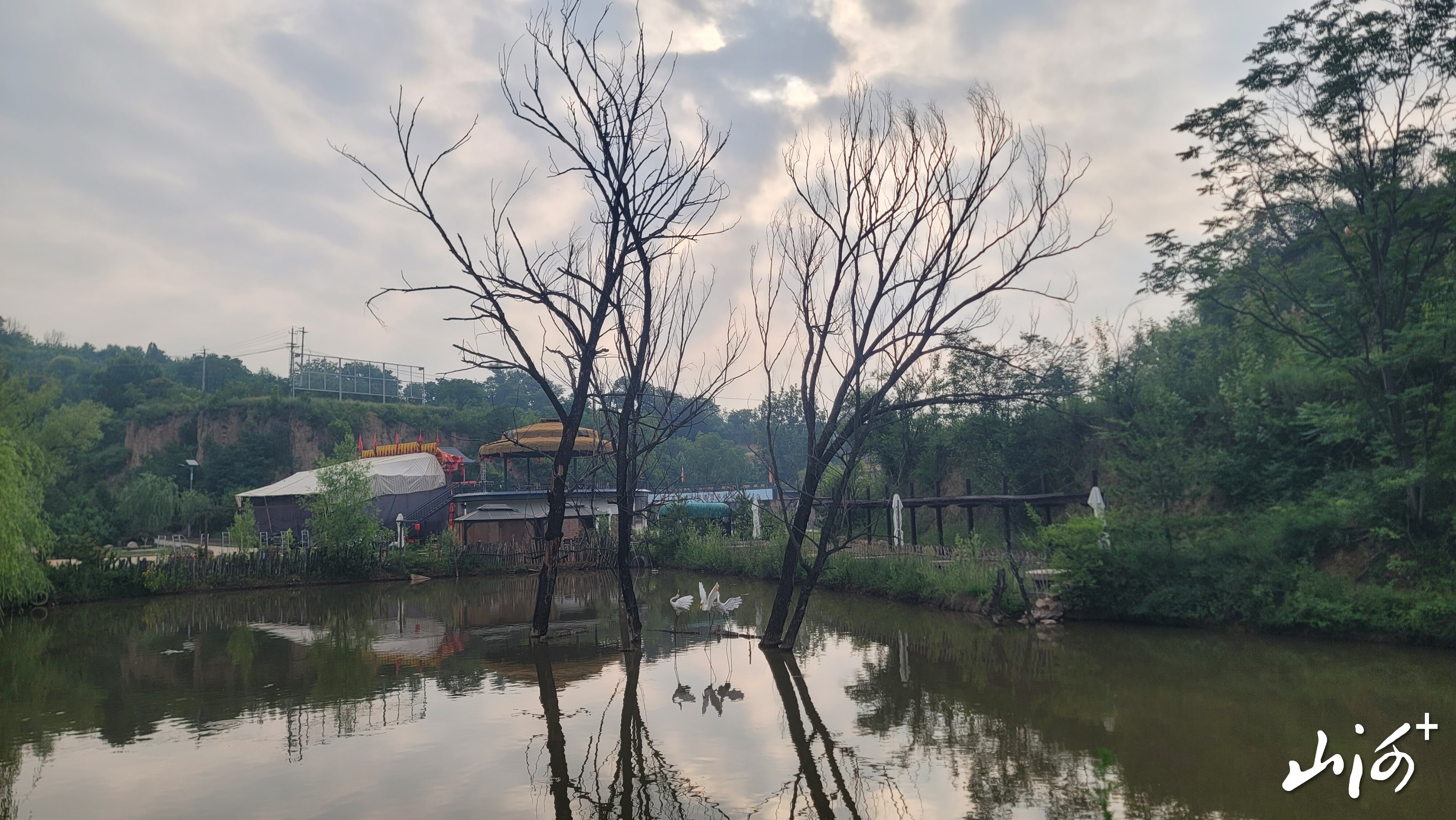 微信图片_20260625155050_3173_137