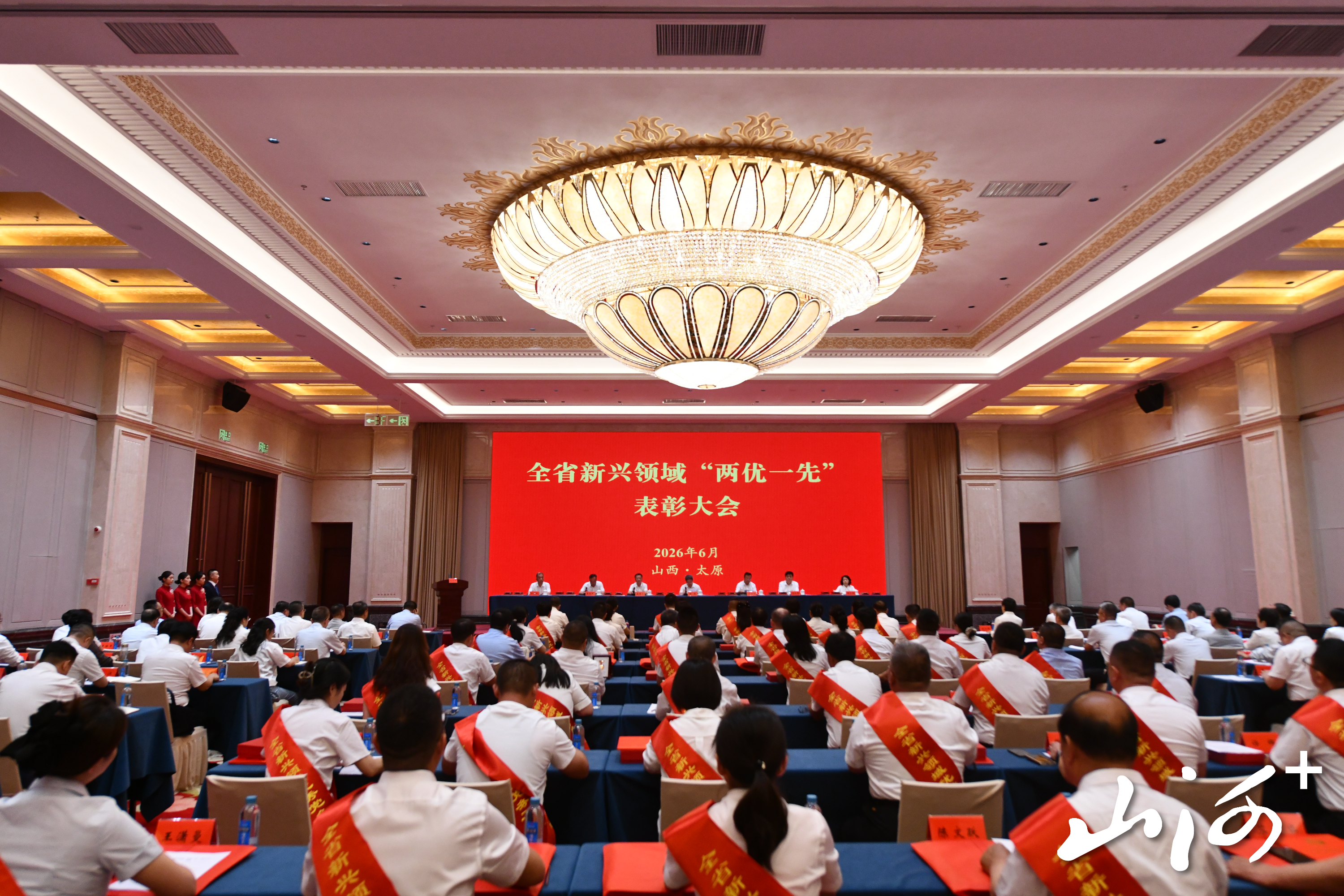 ZQD_8738 ZQD_8738