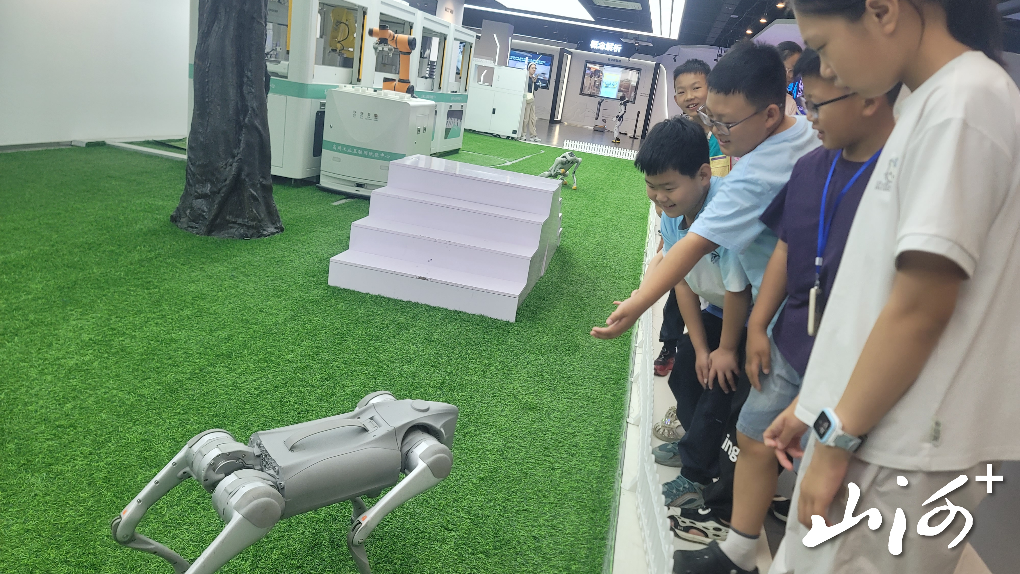 微信图片_20260701105044_3217_137