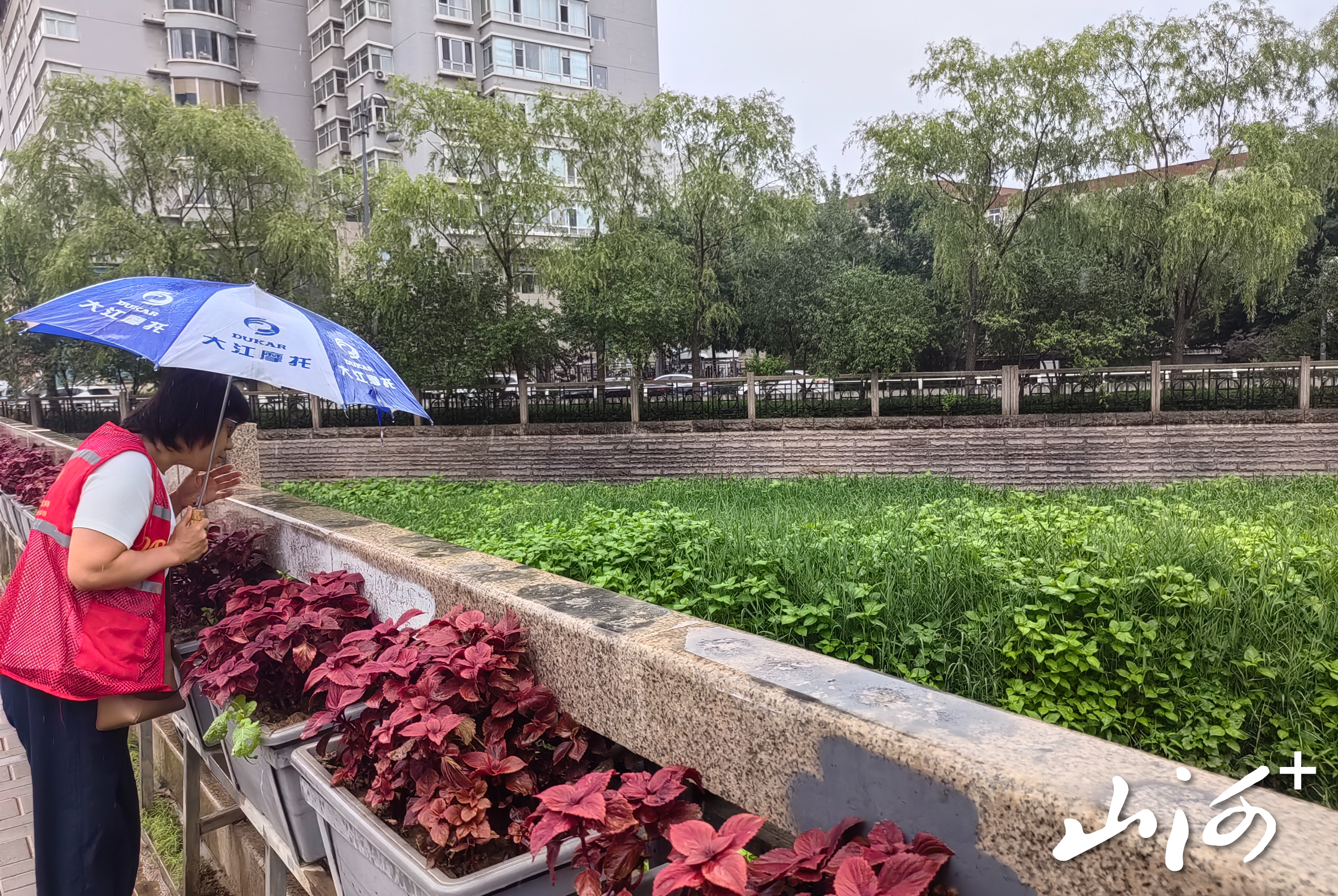 微信图片_20260717162147_359_3 微信图片_20260717162147_359_3