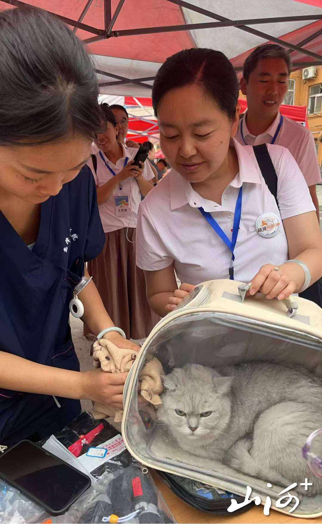 微信图片_20260717162048_687_2 微信图片_20260717162048_687_2