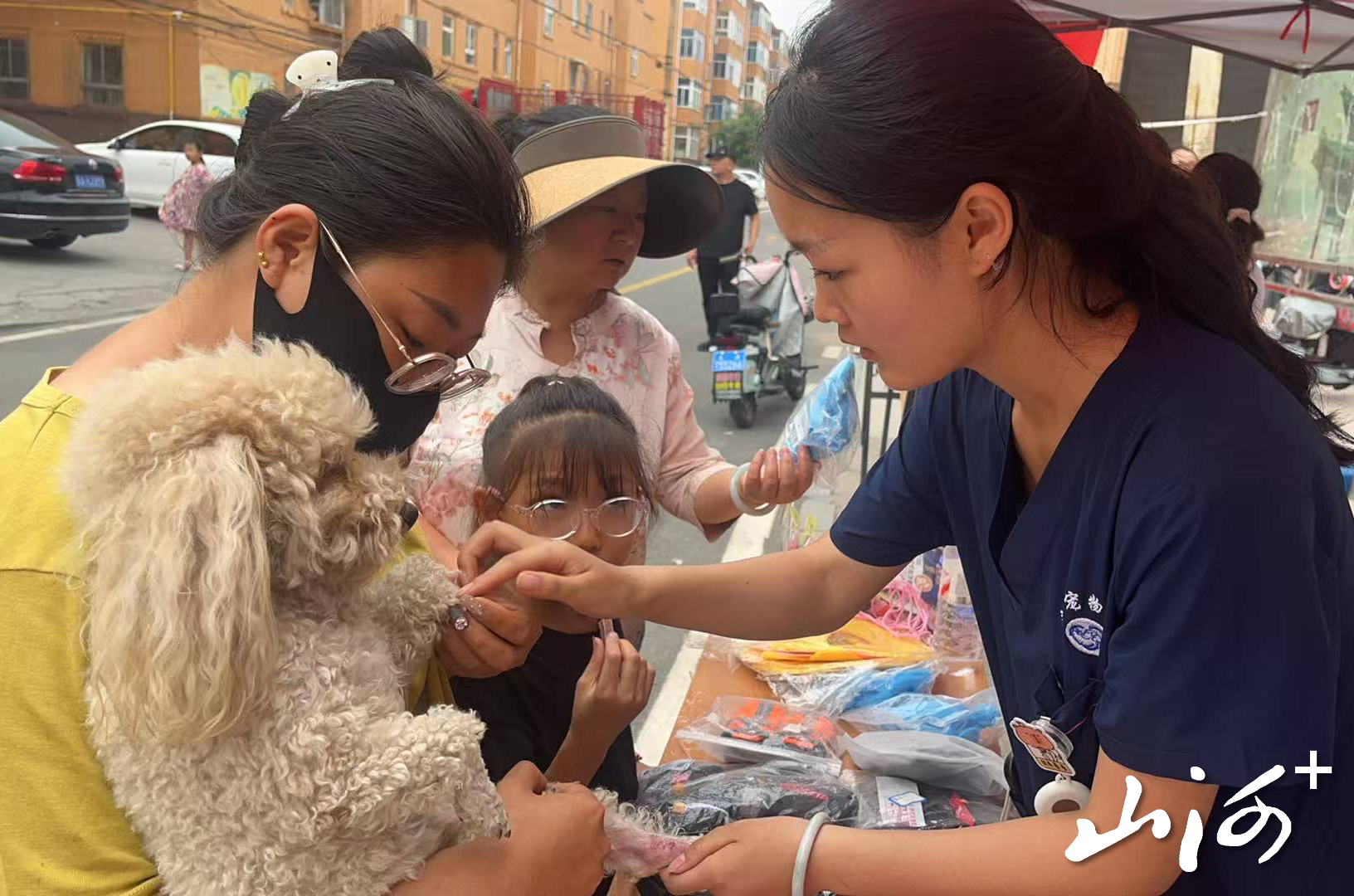 微信图片_20260717162022_686_2 微信图片_20260717162022_686_2