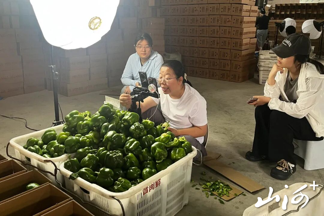 微信图片_20260720164124_3511_137 微信图片_20260720164124_3511_137