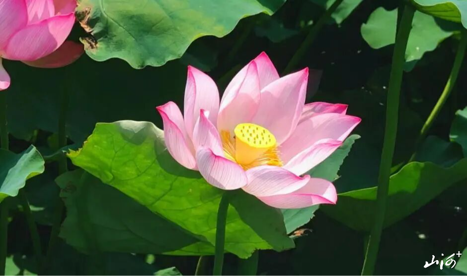 微信图片_2026-07-16_160622_930 微信图片_2026-07-16_160622_930