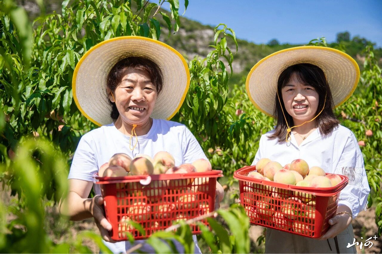 微信图片_2026-07-16_161147_615 微信图片_2026-07-16_161147_615