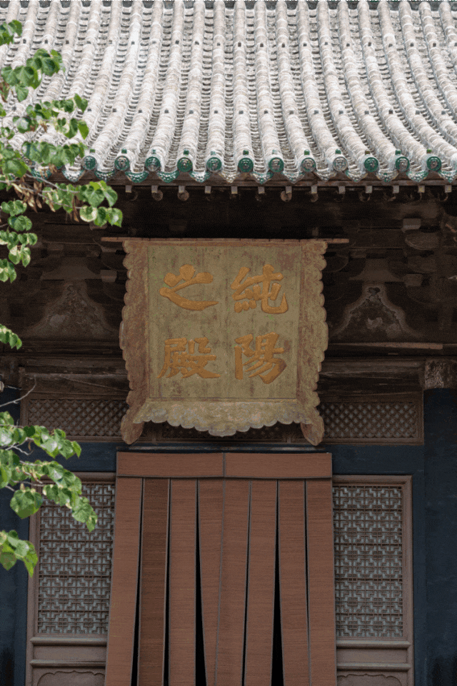 未命名.gif