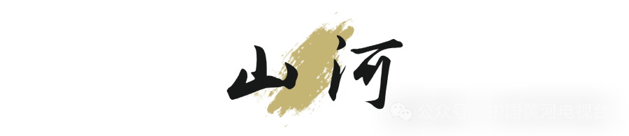 微信公众号LOGO设计(3).png