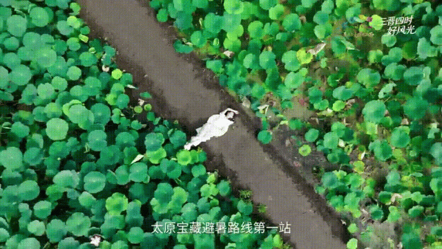 8月18日-1[00h00m00s-00h00m03s].gif