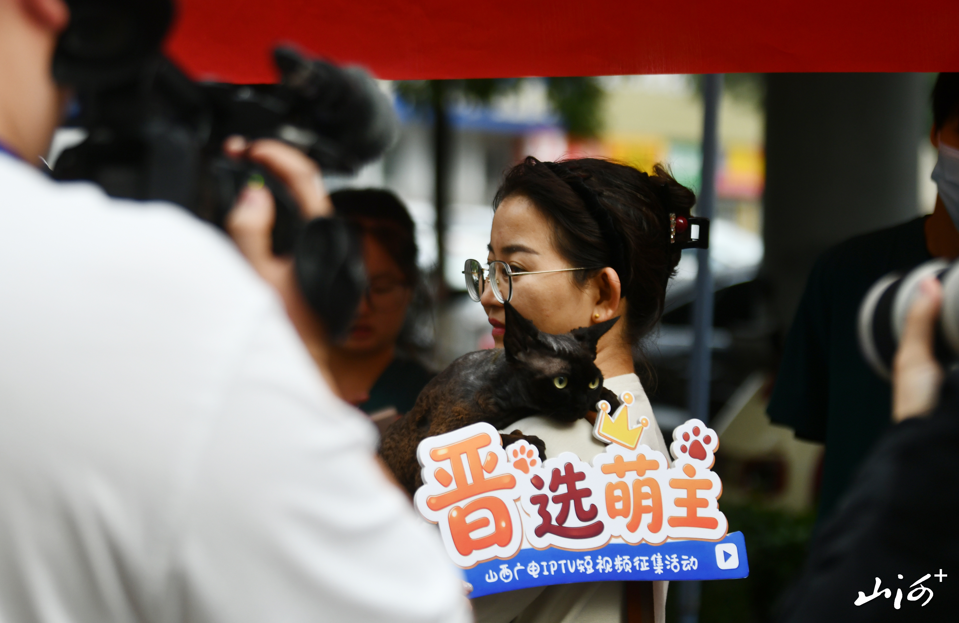 ZQD_1472 ZQD_1472