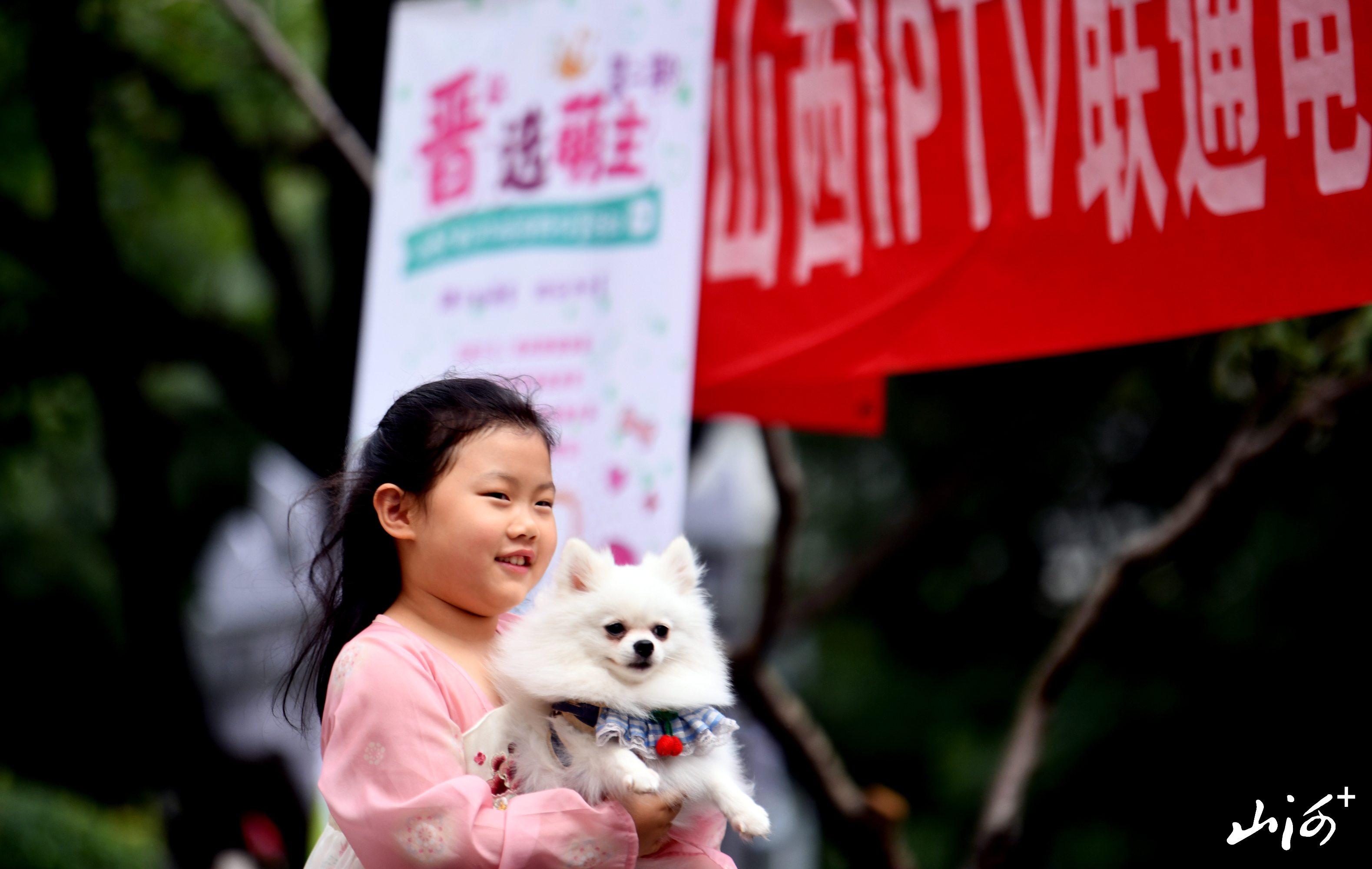 ZQD_1391 ZQD_1391