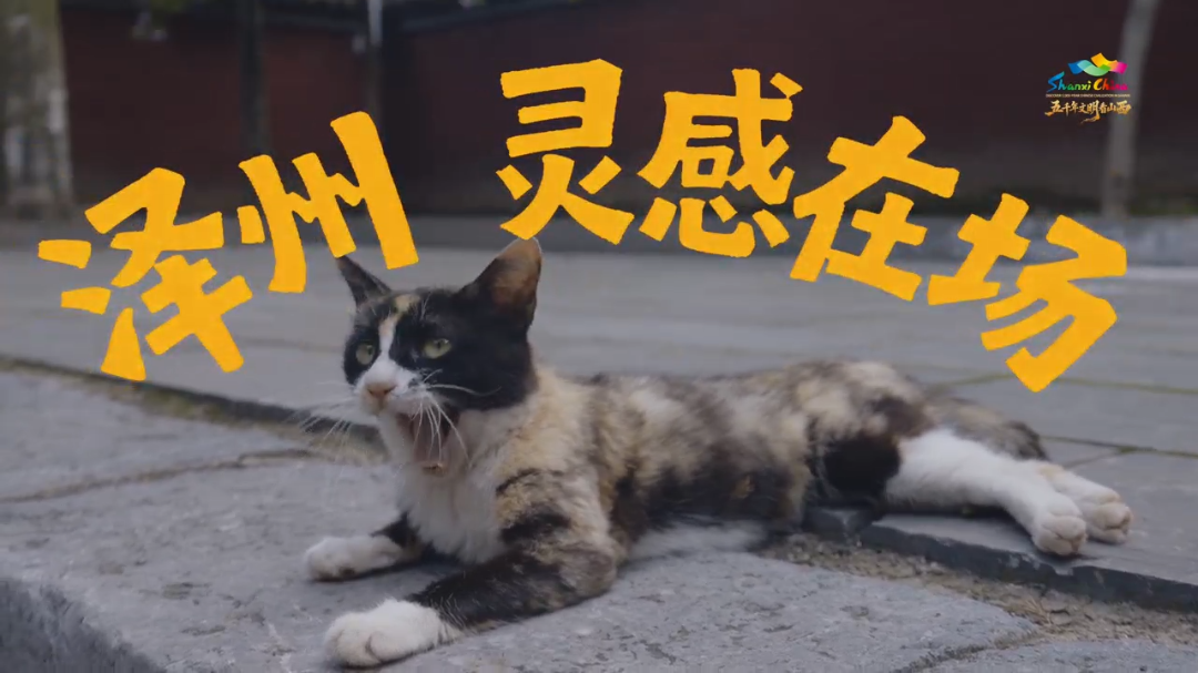 8月27日(12).png