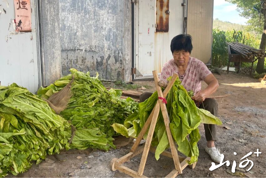 微信图片_2026-09-07_153053_965 微信图片_2026-09-07_153053_965