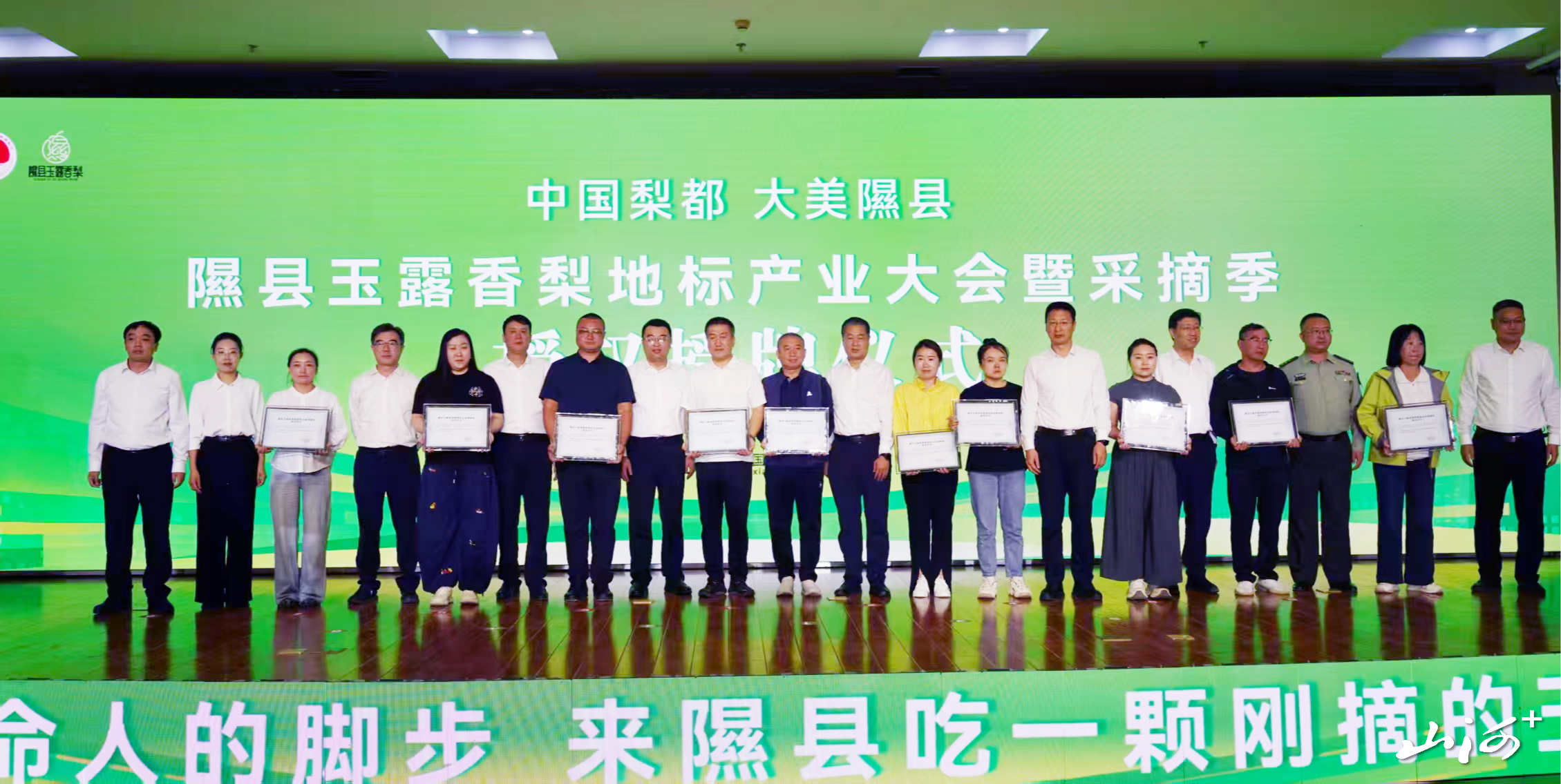 隰县玉露香地理标志授权授牌仪式 隰县玉露香地理标志授权授牌仪式