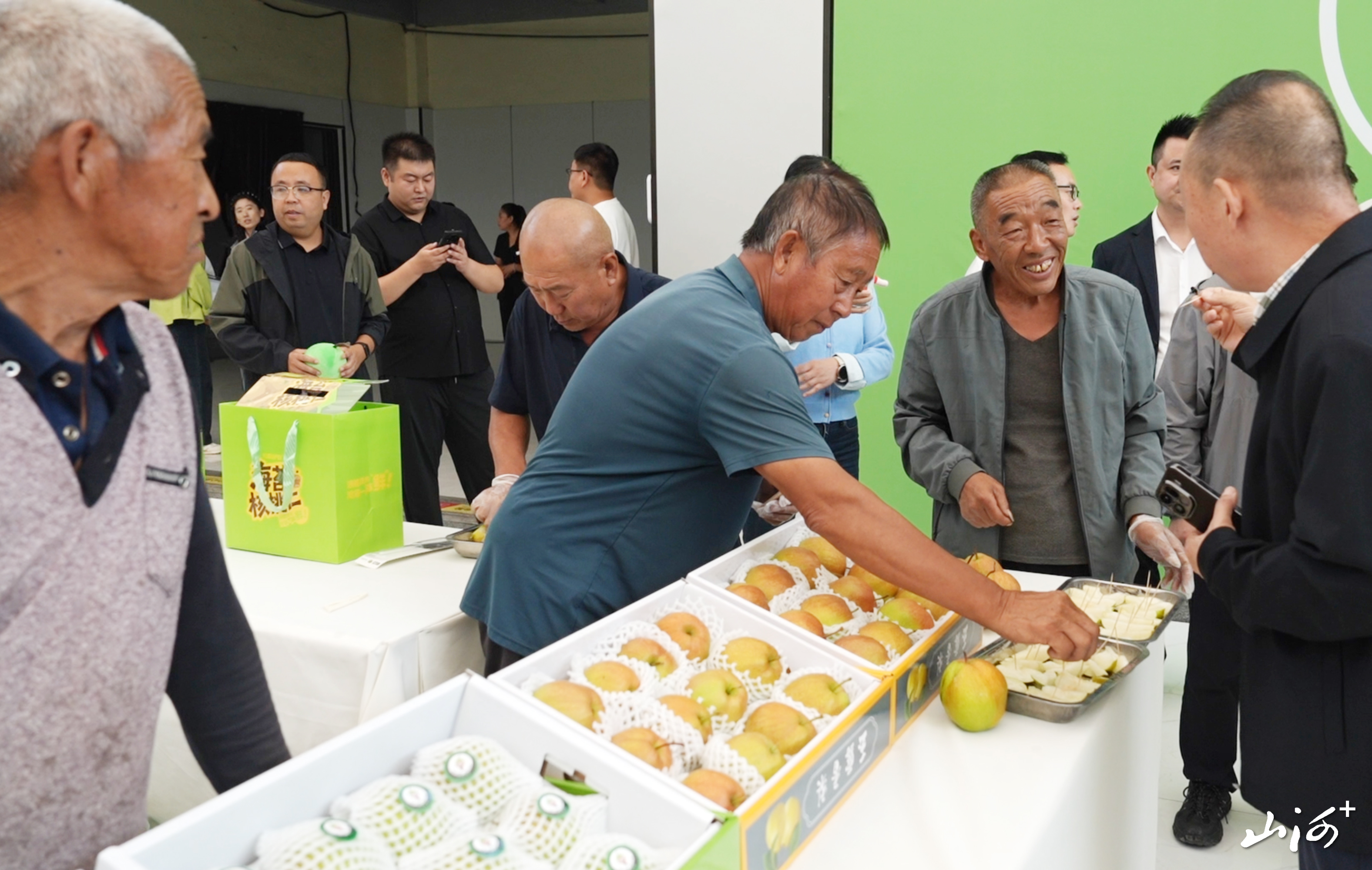隰县玉露香梨展销会2 隰县玉露香梨展销会2
