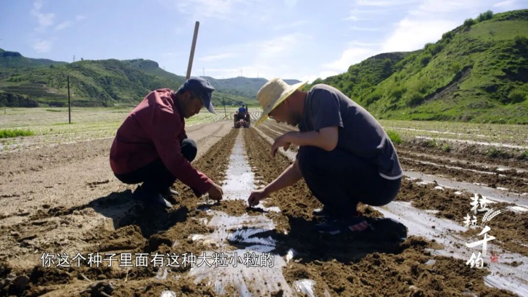 9集引子.01_23_36_20.Still005.jpg