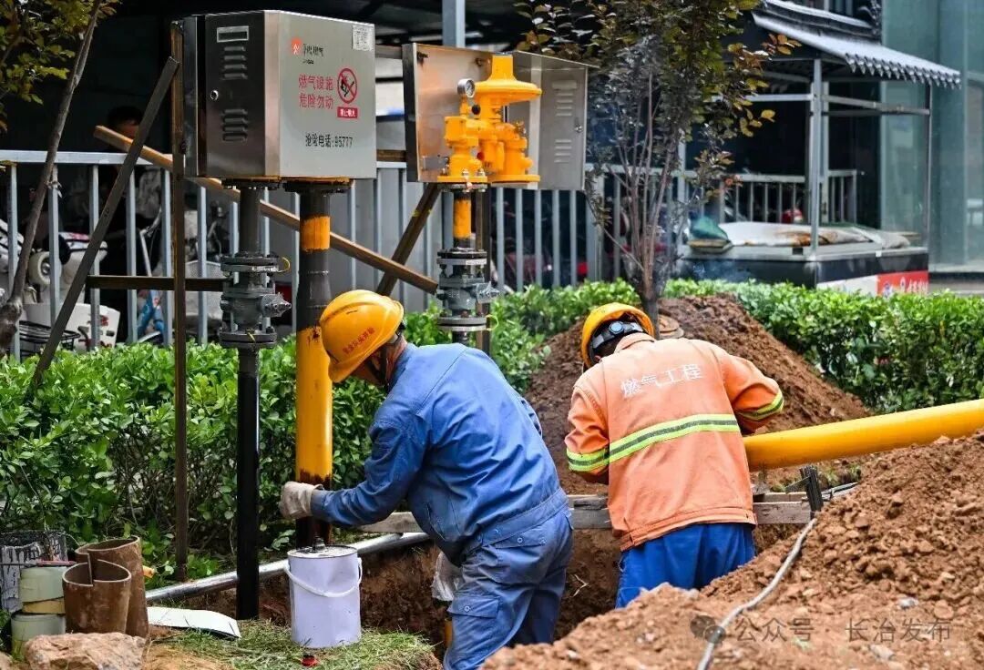 5555.jpg
