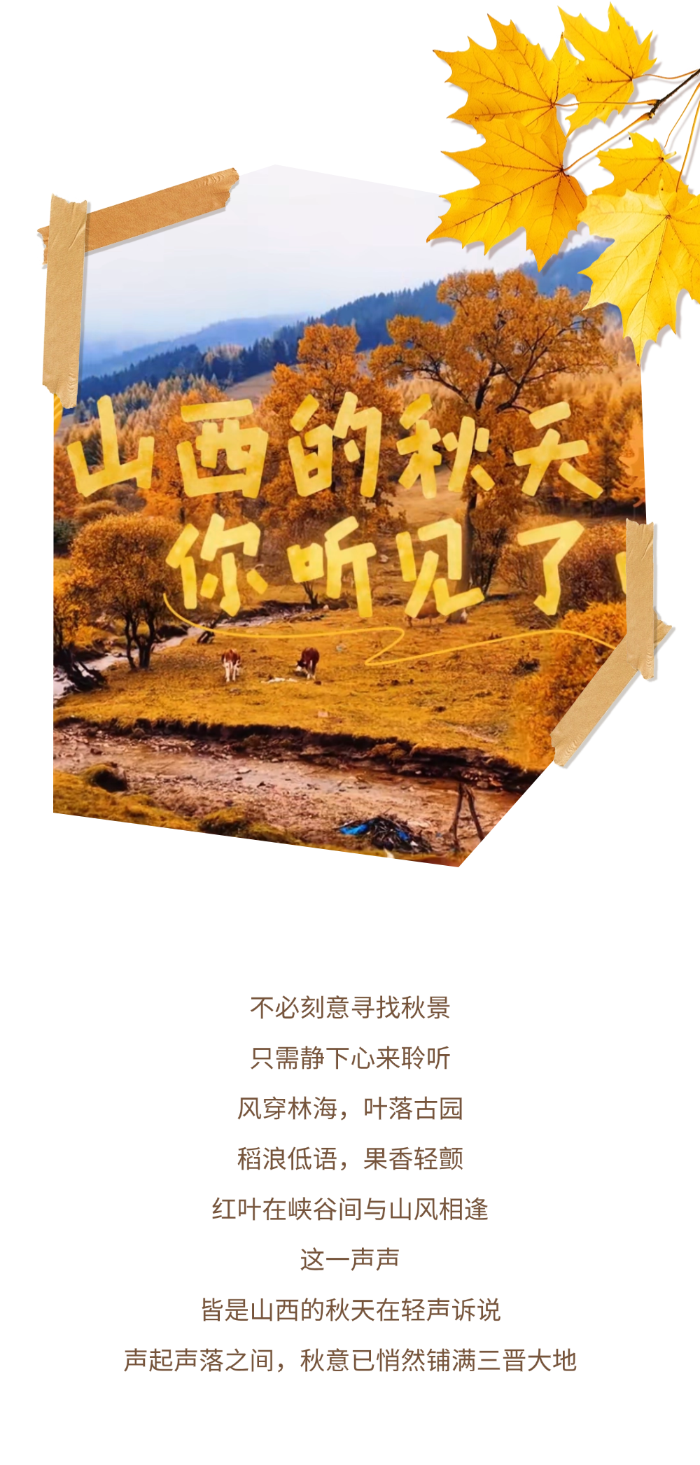 京城捡秋指南2.png